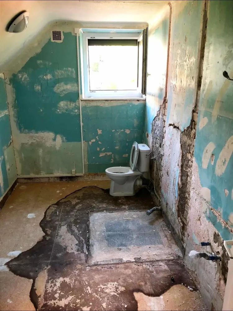renovation